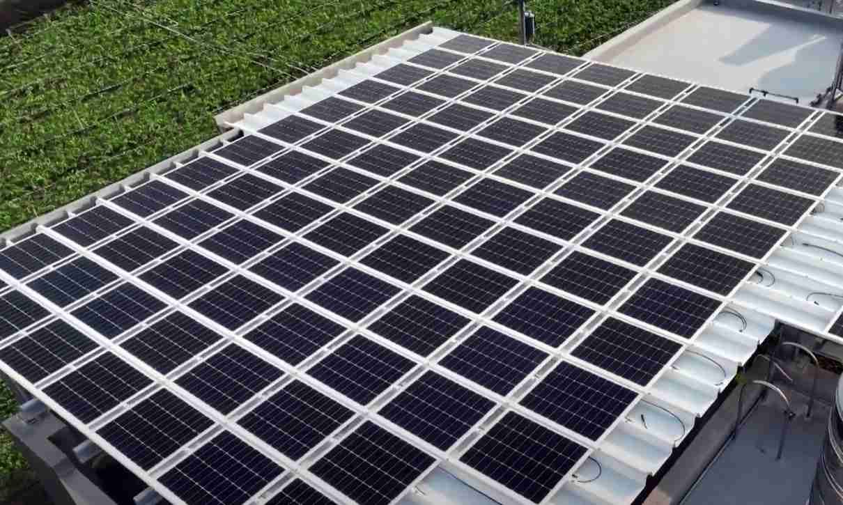 龙门国际SunSteel光电浪板升级双玻结构，，以提升机械负载强度及气候耐候度，，，，可广泛运用于多元场域